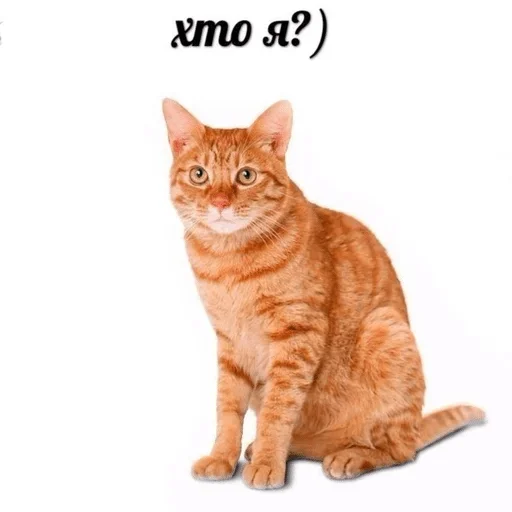 Стикер Awesome68 — @stckrRobot - 8
