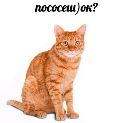 Стикер Awesome68 — @stckrRobot - 4