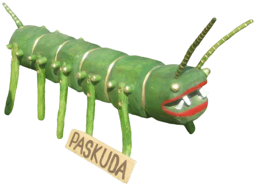animal animal invertebrate caterpillar