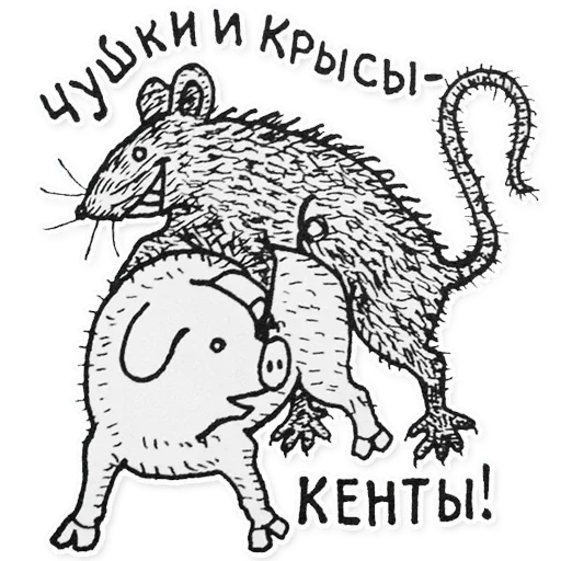 Zalupka — @stckrRobot