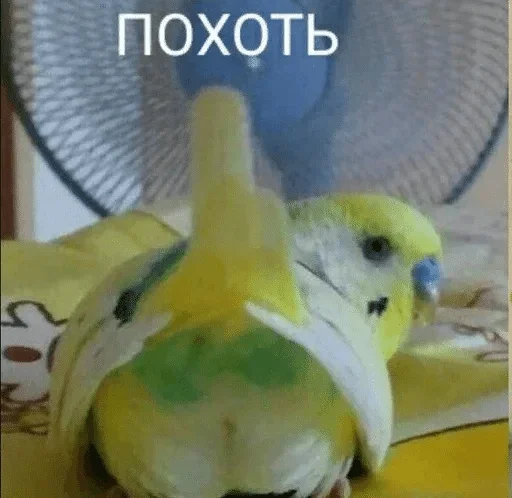 Sticker Фальш — @stckrRobot - 7