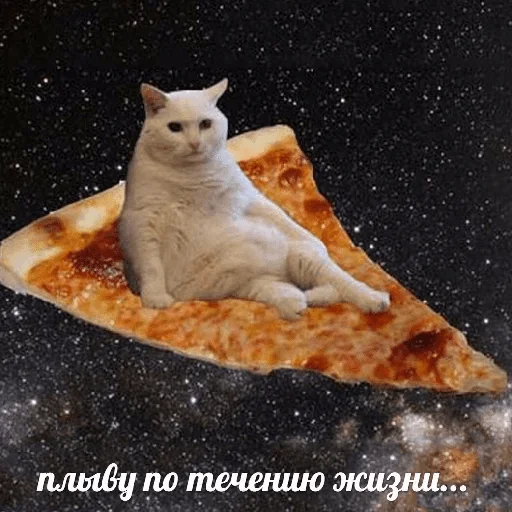 топ2 — @stckrRobot
