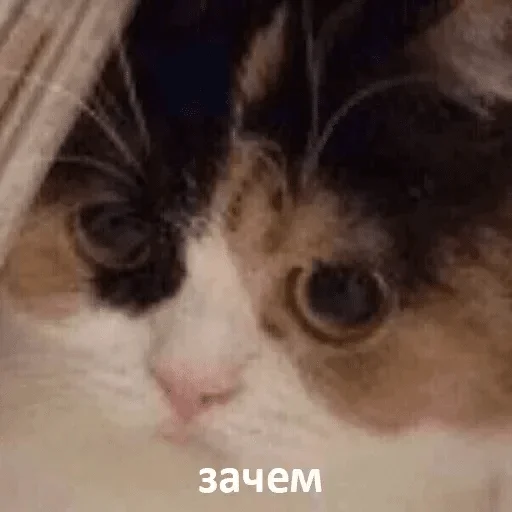 so_only_memes — @stckrRobot so_only_memes — @stckrRobot -