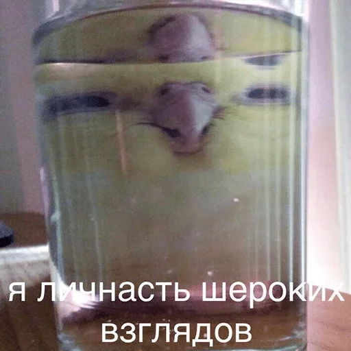 soft drink soft drink glass indoor