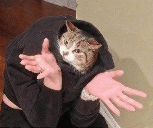person person indoor animal