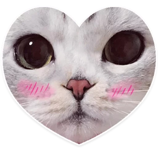 Sticker Зал УПА — @stckrRobot - 8