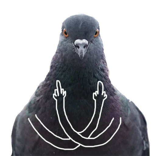 Sticker Мои стикеры - мест хэв — @stckrRobot - 9