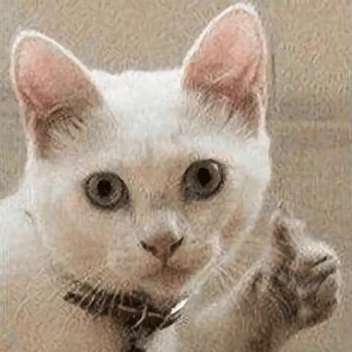 Стикер dlya vajnih peregovorov — @stckrRobot - 7