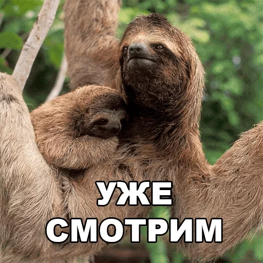 Стикер dlya vajnih peregovorov — @stckrRobot - 5