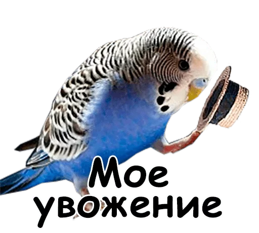 Стикер dlya vajnih peregovorov — @stckrRobot - 1