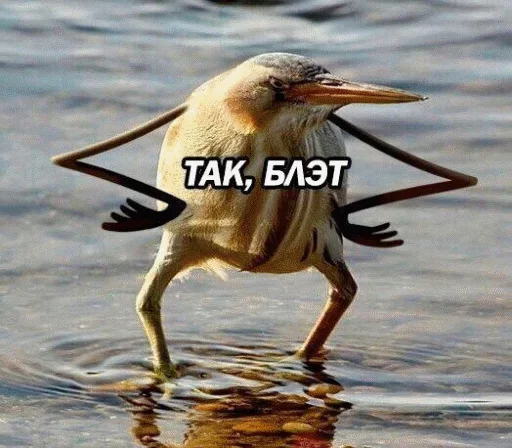Sticker Твои стикеры — @stckrRobot - 2