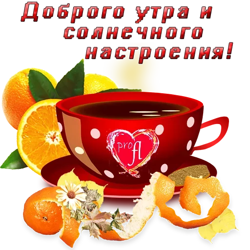 text text fruit orange