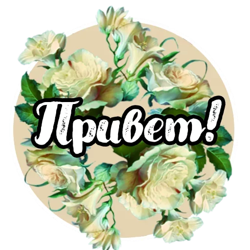 flower flower rose plant