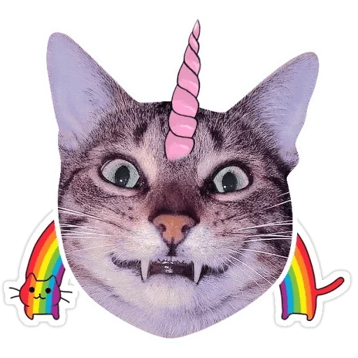 small to medium-sized cats small to medium-sized cats whiskers domestic cat