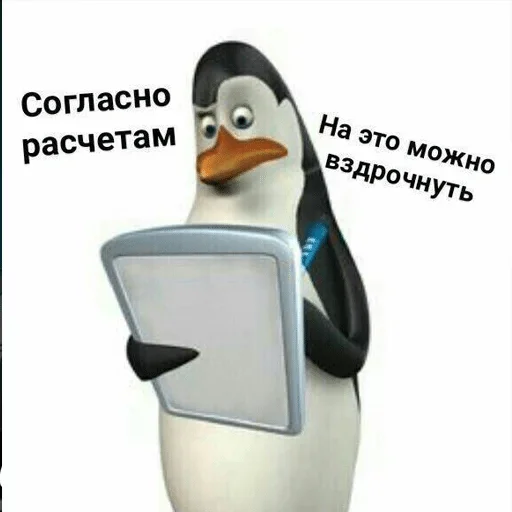 cartoon cartoon penguin design