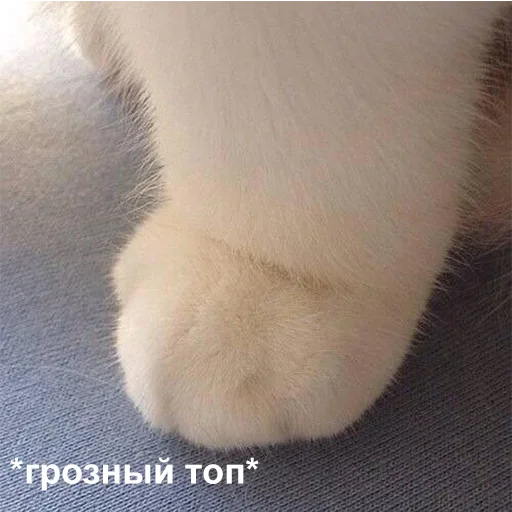 Стикер От лося лосям — @stckrRobot - 5 Стикер От лося лосям — @stckrRobot - 5