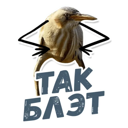 Силимся живём Силимся живём -