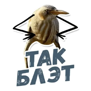 Sticker Силимся живём - 0