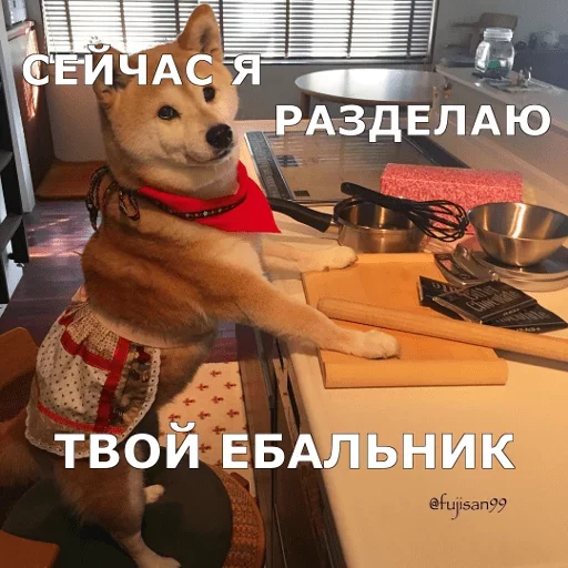 СМС СМС домашнее животное комнатный