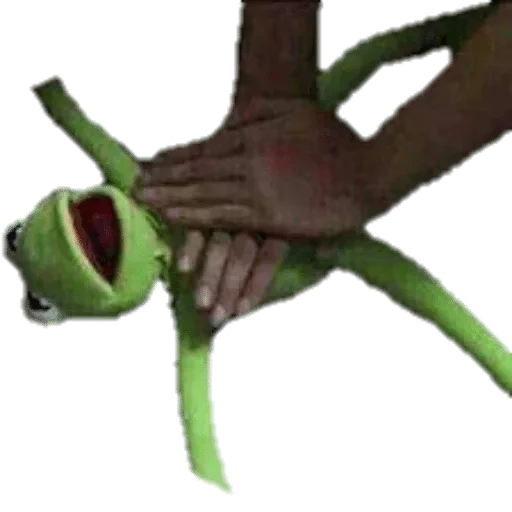 person person hand