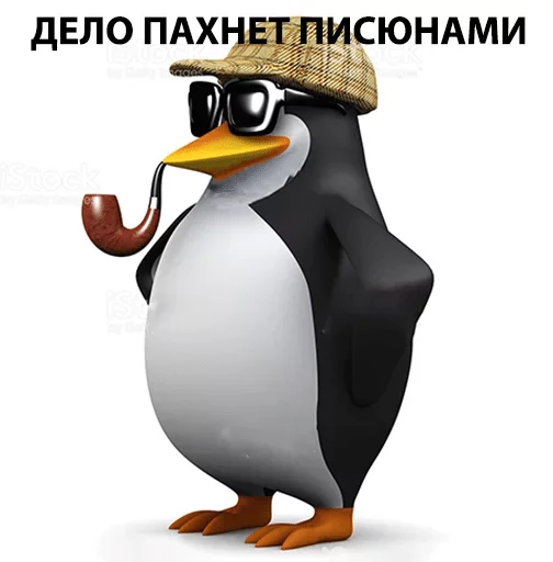 aquatic bird aquatic bird bird penguin