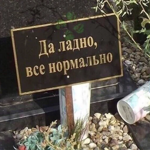 text text outdoor plant