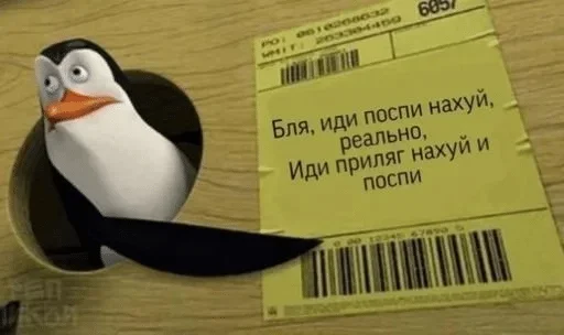text text aquatic bird bird