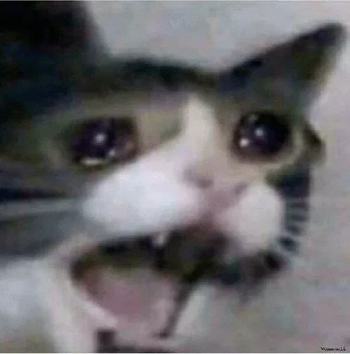 ΠΆΠΈΠ²ΠΎΡΠ½ΠΎΠ΅ ΠΆΠΈΠ²ΠΎΡΠ½ΠΎΠ΅ ΠΌΠ»Π΅ΠΊΠΎΠΏΠΈΡΠ°ΡΡΠ΅Π΅ ΠΊΠΎΡΠΊΠ°