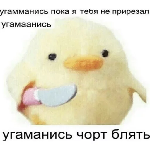 птица птица животное