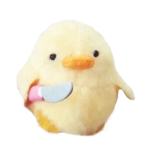 animal animal duck bird