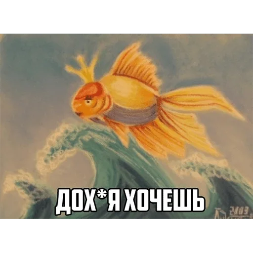 fish fish animal goldfish