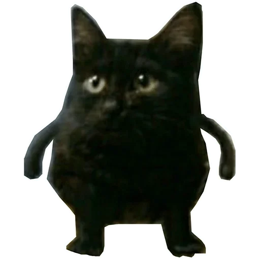 small to medium-sized cats small to medium-sized cats felidae domestic cat