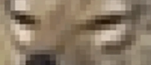 screenshot beige pattern