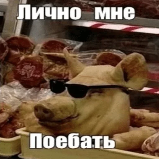 text text food indoor