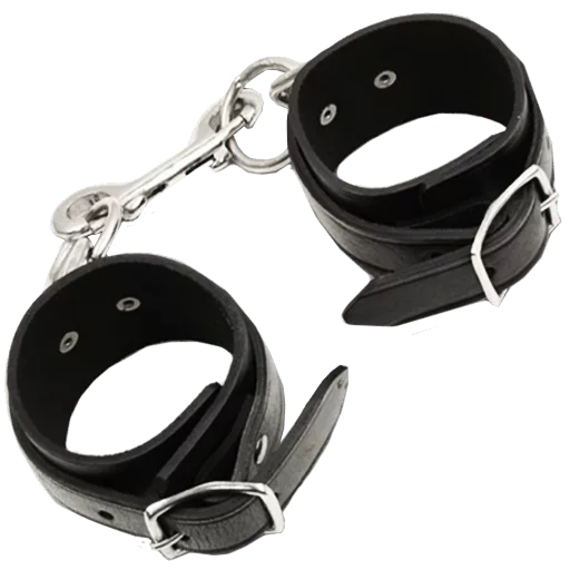 fashion accessory spectacles