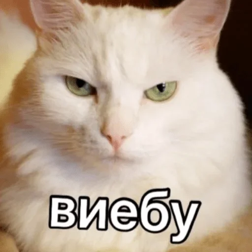 Стикер Hanka’s fav stickers — @stckrRobot - 8