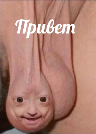 СМС СМС кожа плоть