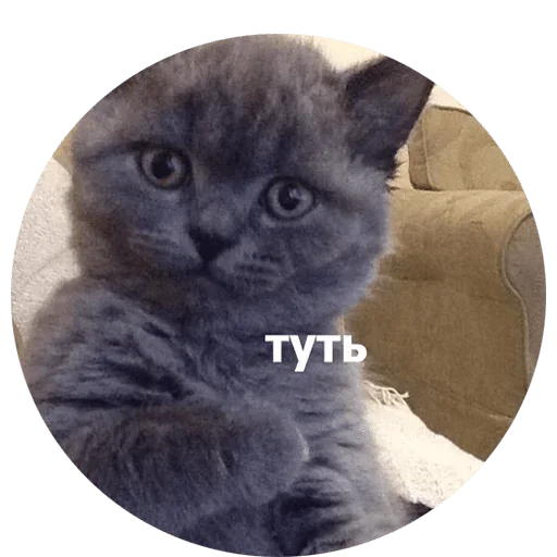 tiny cock — @stckrRobot tiny cock — @stckrRobot -