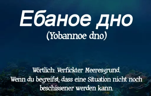 text text reef screenshot