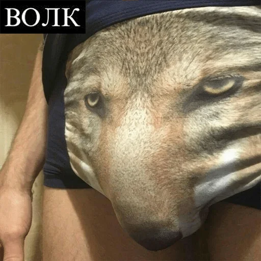 Человек Человек голова собака