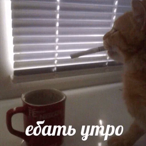 Стикер shitposting licence — @stckrRobot - 9
