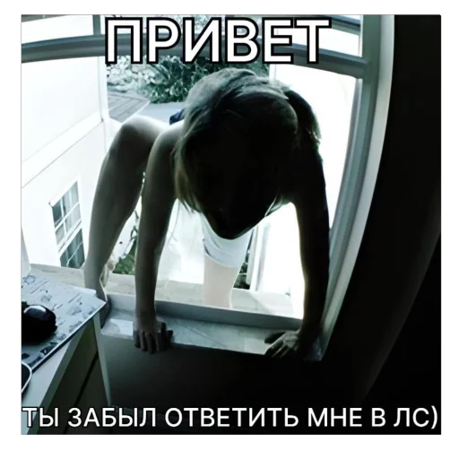 срака срака -