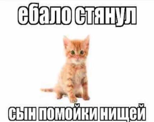 срать :: @fStikBot