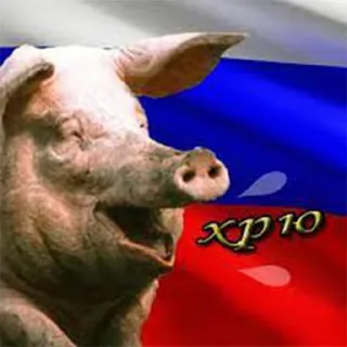 Стикер русня пидарасы - 7 Стикер русня пидарасы - 7