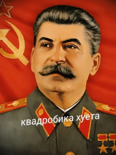 Квд хуйня Квд хуйня -
