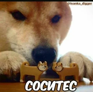 Стикерпак Тори @lijoong by @fStikBot Стикерпак Тори @lijoong by @fStikBot - text