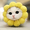 Котеки ฅ(•ㅅ•❀)ฅ Котеки ฅ(•ㅅ•❀)ฅ -