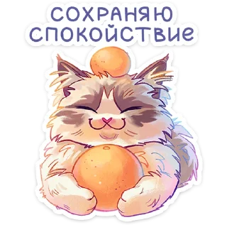 Стикер Стелла :: @stickroom - 0