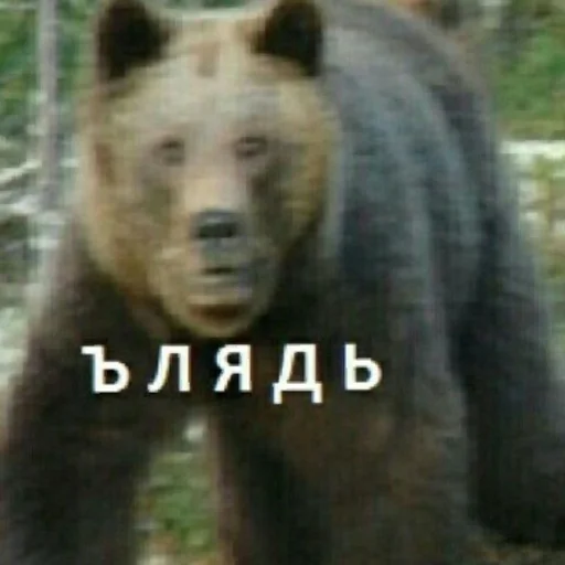 Ъ | via sticked.app Ъ | via sticked.app -