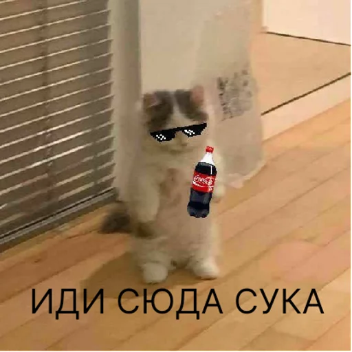 я ебу что ли? | via sticked.app я ебу что ли? | via sticked.app -